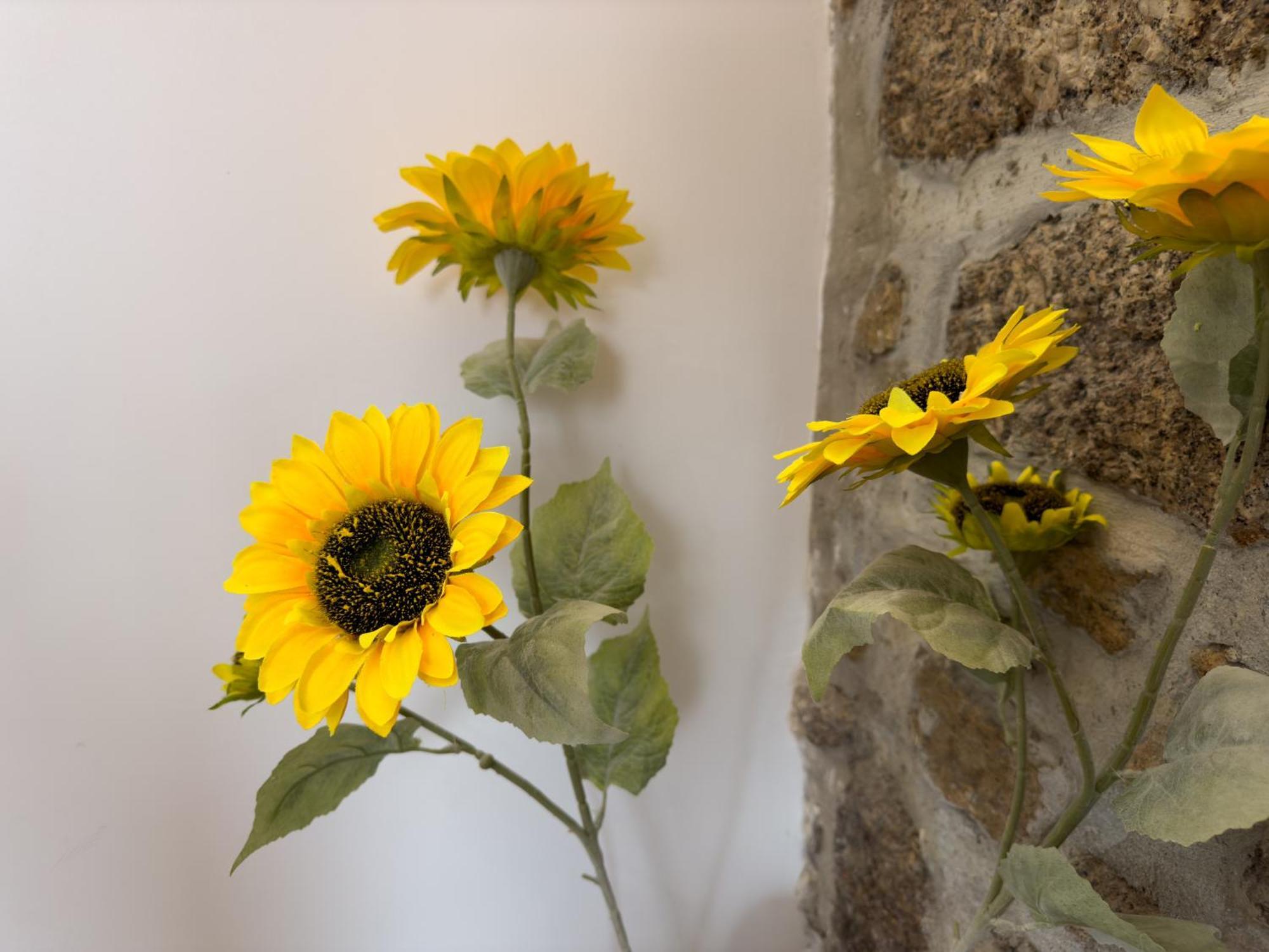Casa Das Flores أوليفيرا دو هوسبيتال المظهر الخارجي الصورة